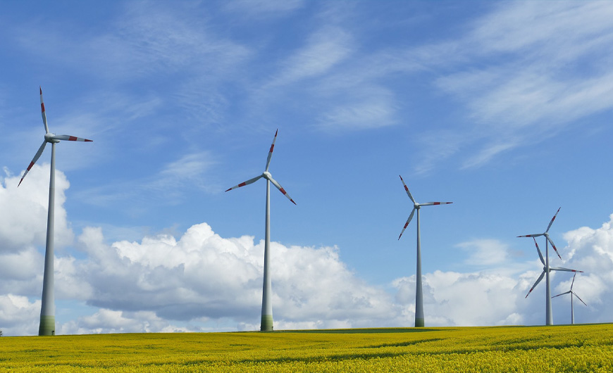 Campo energía eólica